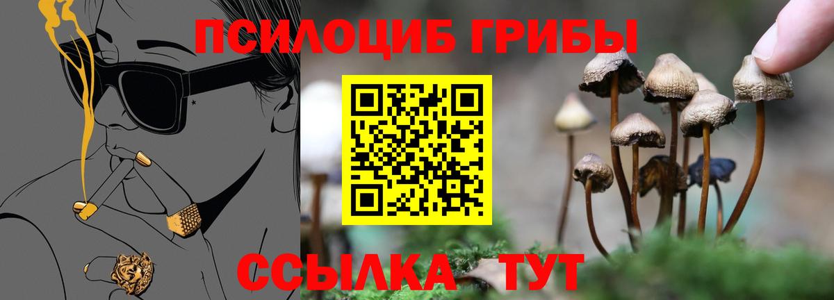 Псилоцибиновые грибы Magic Shrooms  Вход с VPN  где продают наркотики  Галлюциногенные грибы Psilocybe  Майский 